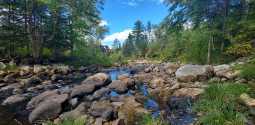 A serene river scene with smooth rocks, lush greenery, and a clear blue sky in the background.