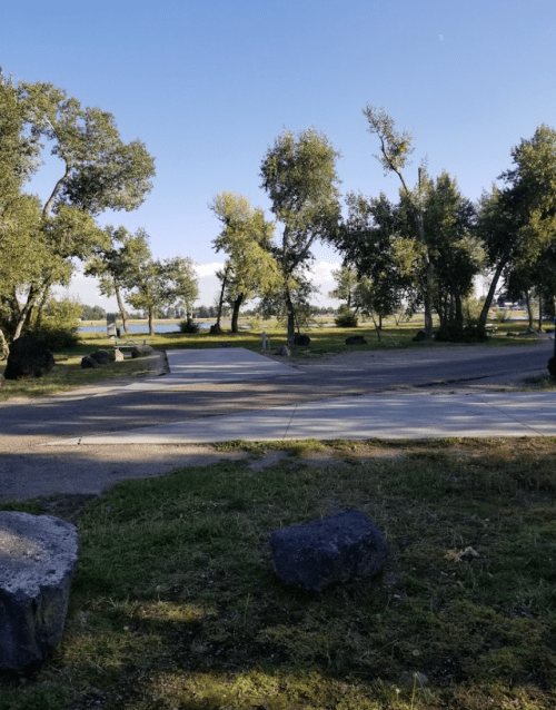 A peaceful park scene with trees, a pathway, and a clear blue sky in the background.