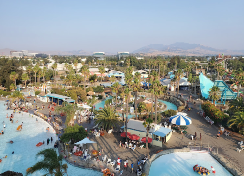 Aerial view of a water park with pools, slides, palm trees, and visitors enjoying the sunny day.