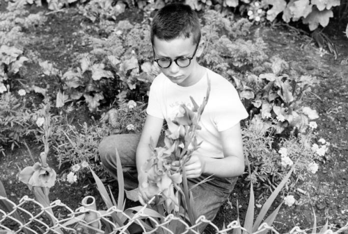 A boy with glasses kneels in a garden, examining a flower among various plants and flowers.