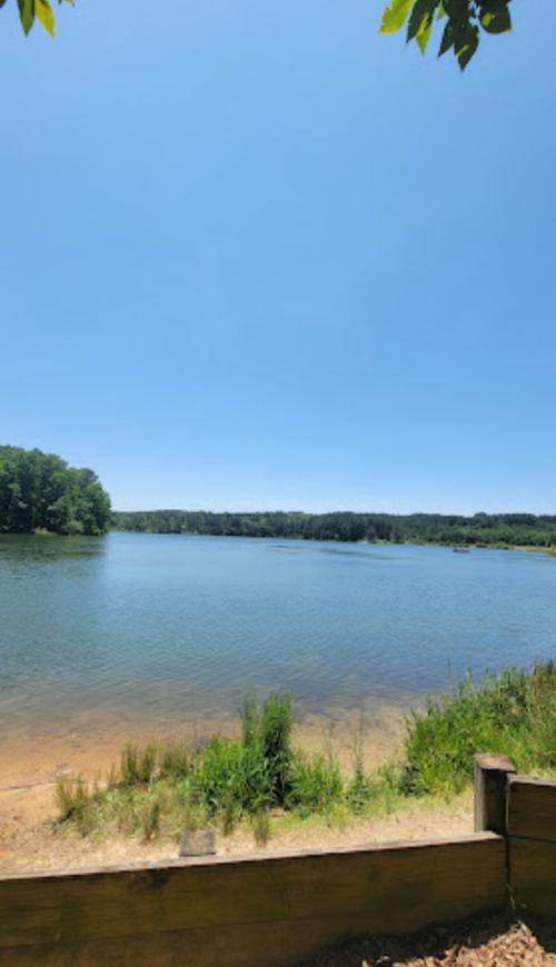 A serene lake surrounded by greenery under a clear blue sky, with sandy shorelines and calm waters.