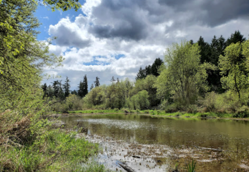 A serene river scene surrounded by lush greenery and trees under a partly cloudy sky.