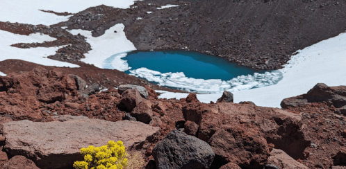A vibrant yellow flower grows among rocky terrain, overlooking a glacial blue pond surrounded by snow and volcanic rock.