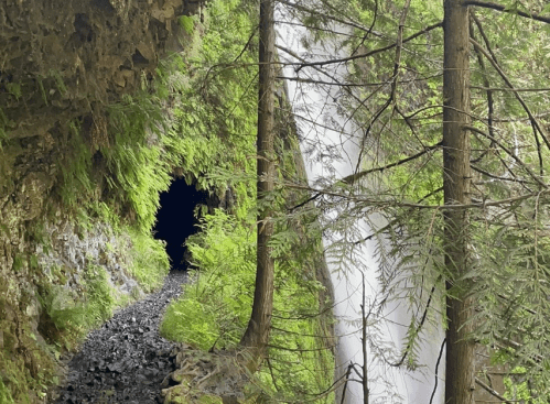 A narrow path leads to a dark cave, with a waterfall cascading nearby, surrounded by lush green trees.
