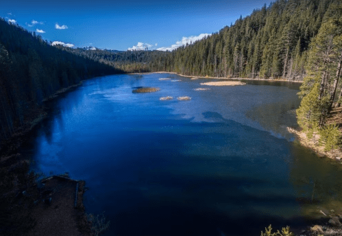 A serene lake surrounded by lush green forests under a clear blue sky, with gentle ripples on the water's surface.