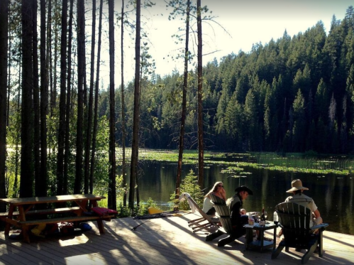 Three people relax by a serene lake surrounded by tall trees, enjoying a peaceful moment in nature.