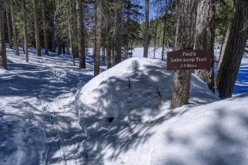 Sign for Paul's Lake Loop Trail, 2.0 miles, surrounded by snow-covered ground and tall trees.