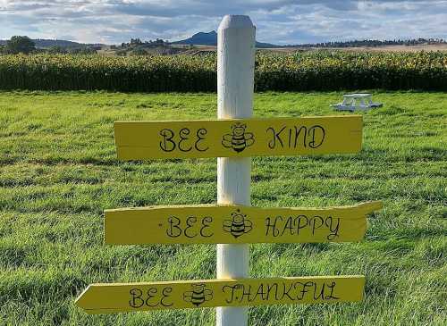 A yellow signpost with three arrows reading "Bee Kind," "Bee Happy," and "Bee Thankful," set in a green field.