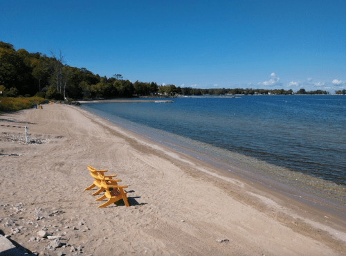 A sandy beach with two yellow chairs facing the calm water under a clear blue sky. Trees line the background.