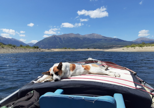 A dog relaxes on a boat, with mountains and a clear blue sky in the background.