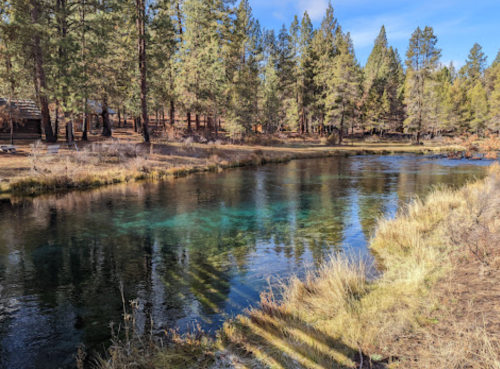A serene river flows through a forested area, surrounded by tall trees and grassy banks under a clear blue sky.
