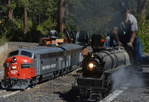 A man operates a model steam train alongside a model diesel train on a scenic track in a forested area.