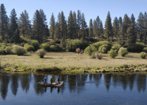A group of four people in a boat on a calm river, surrounded by lush green trees and a clear blue sky.
