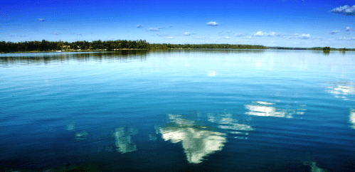 A serene lake reflecting a clear blue sky with scattered clouds and lush greenery along the shore.