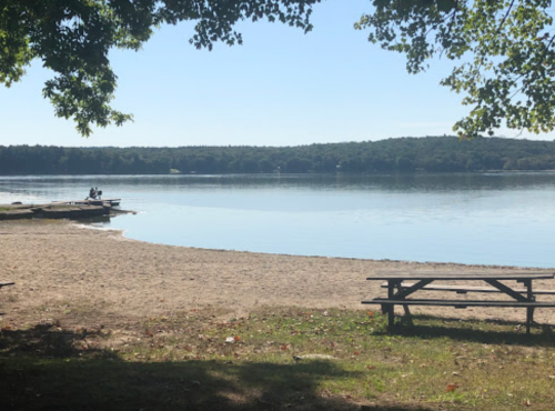 A serene lakeside view with a sandy beach, picnic tables, and a couple sitting by the water under a clear blue sky.