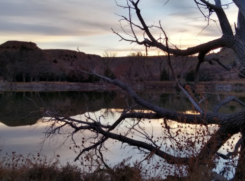 A serene lake at sunset, with a bare tree branch in the foreground and hills reflected in the calm water.