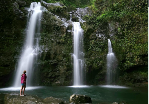 A person stands in front of a lush waterfall, surrounded by greenery and rocks, gazing at the cascading water.