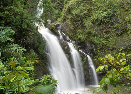 A serene waterfall cascading down rocky cliffs, surrounded by lush green foliage and tropical plants.