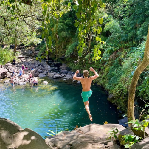 A person jumps into a clear, green pool surrounded by lush trees, with others enjoying the water nearby.