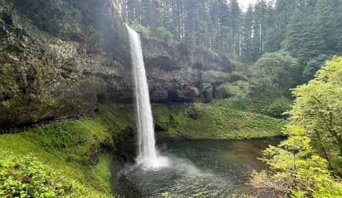 A stunning waterfall cascades into a serene pool, surrounded by lush greenery and towering trees in a forested landscape.