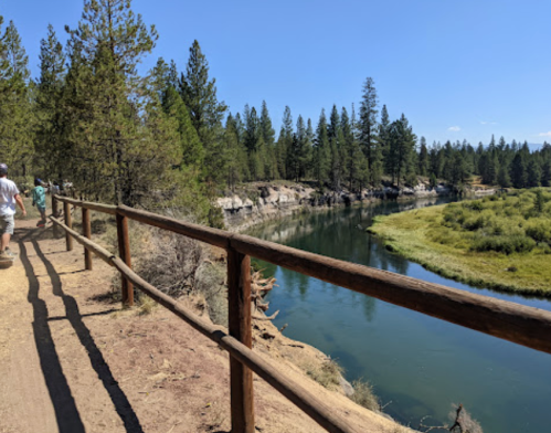 A scenic path alongside a river, surrounded by tall trees and lush greenery under a clear blue sky.