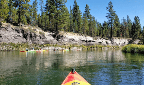 A view from a kayak on a calm river, with several kayakers paddling along a tree-lined shore.