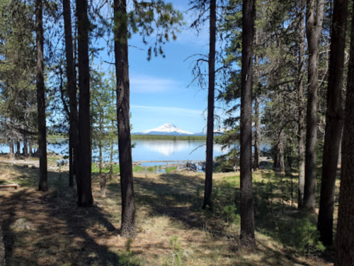 A serene view of a lake framed by trees, with a snow-capped mountain in the background under a clear blue sky.