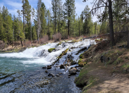 A serene river cascades over rocks, surrounded by lush green trees and a clear blue sky.