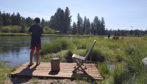 A person fishing from a wooden dock by a river, surrounded by tall grass and trees on a sunny day.