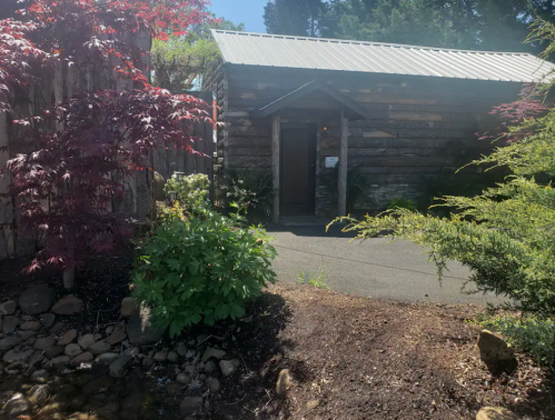 A rustic log cabin with a metal roof, surrounded by greenery and a small pathway.