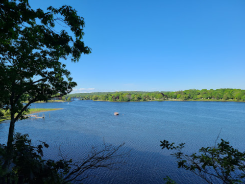 A serene river scene with clear blue water, green trees, and a bright blue sky.