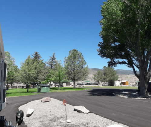 A clear blue sky over a campground with trees, gravel paths, and a dog near a trailer.