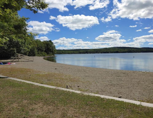 A serene lakeside view with a sandy shore, trees, and fluffy clouds under a bright blue sky.