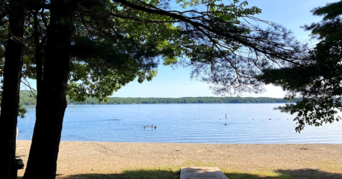 A serene lake view framed by trees, with a sandy beach and people swimming in the distance under a clear blue sky.
