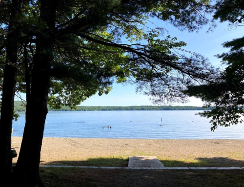A serene lake view framed by trees, with a sandy beach and calm water under a clear blue sky.