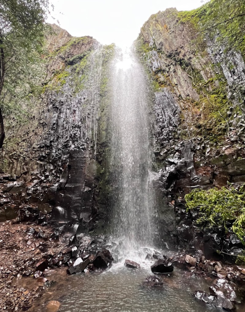 A cascading waterfall flows down rocky cliffs into a serene pool, surrounded by lush greenery.