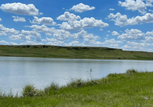 A serene lake surrounded by green grass and hills under a bright blue sky with fluffy white clouds.