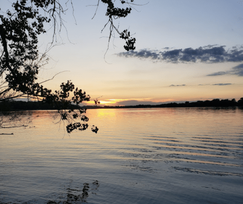 Sunset over a calm lake, with trees framing the scene and gentle ripples on the water's surface.