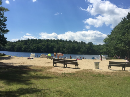 A sandy beach by a lake, with people enjoying the sun, trees in the background, and benches in the foreground.