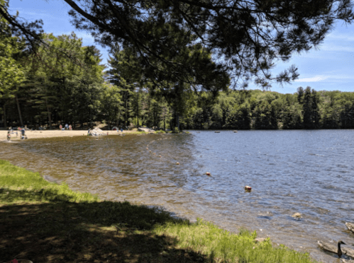 A serene lake surrounded by trees, with a sandy beach and people enjoying the outdoors on a sunny day.