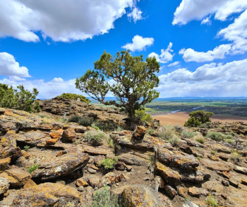 A rocky landscape with a lone tree, under a bright blue sky with fluffy clouds, overlooking a green valley.