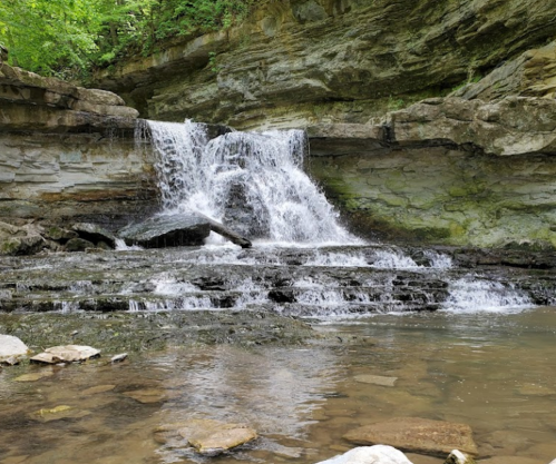 A serene waterfall cascading over rocky ledges into a calm pool, surrounded by lush greenery.