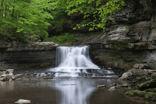 A serene waterfall cascades over rocks into a calm pool, surrounded by lush green foliage.