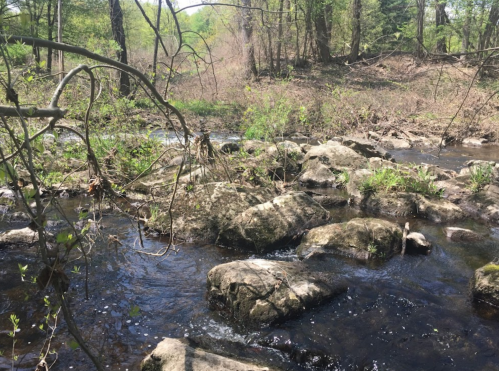 A serene stream flows over rocks, surrounded by lush greenery and trees in a peaceful natural setting.