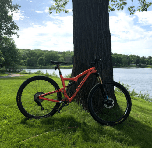 A bright orange mountain bike leans against a tree by a serene lake, surrounded by green grass and trees.