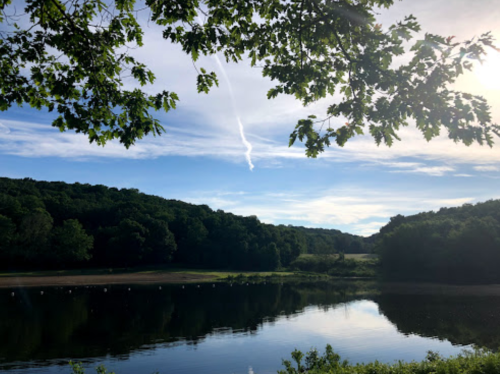 A serene landscape featuring a calm lake, lush green trees, and a blue sky with wispy clouds.