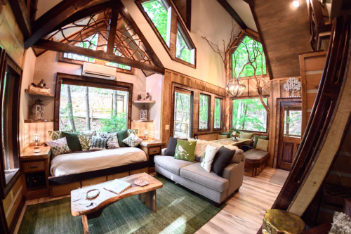 Cozy, modern cabin interior with large windows, wooden accents, and a mix of seating areas surrounded by greenery.