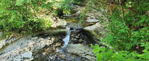 A serene stream flows through a rocky landscape, surrounded by lush green foliage and trees.