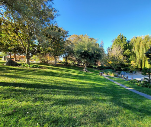 A serene park scene with lush green grass, trees, and a pathway leading through a tranquil landscape.
