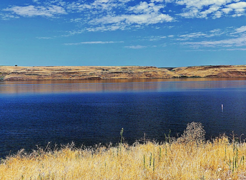 A serene lake surrounded by golden grass and rolling hills under a clear blue sky with scattered clouds.